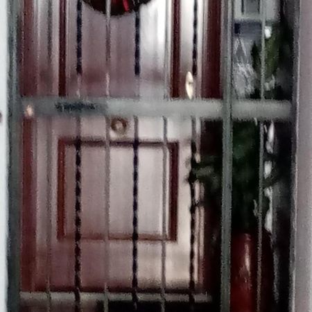 Shared Accommodation A Room With A View Of The Garden 塞维利亚 外观 照片